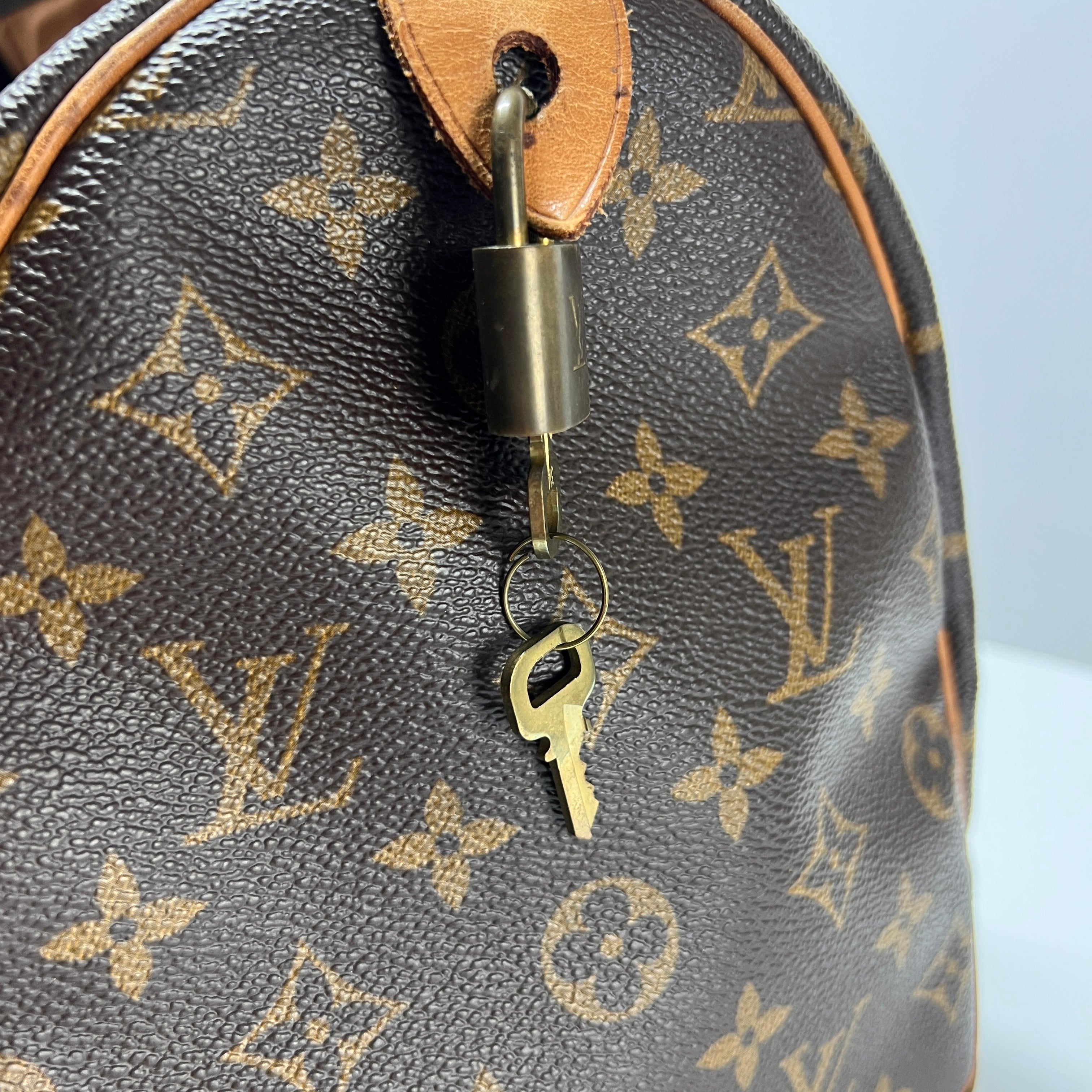 LOUIS VUITTON Speedy handbag in brown canvas and leather