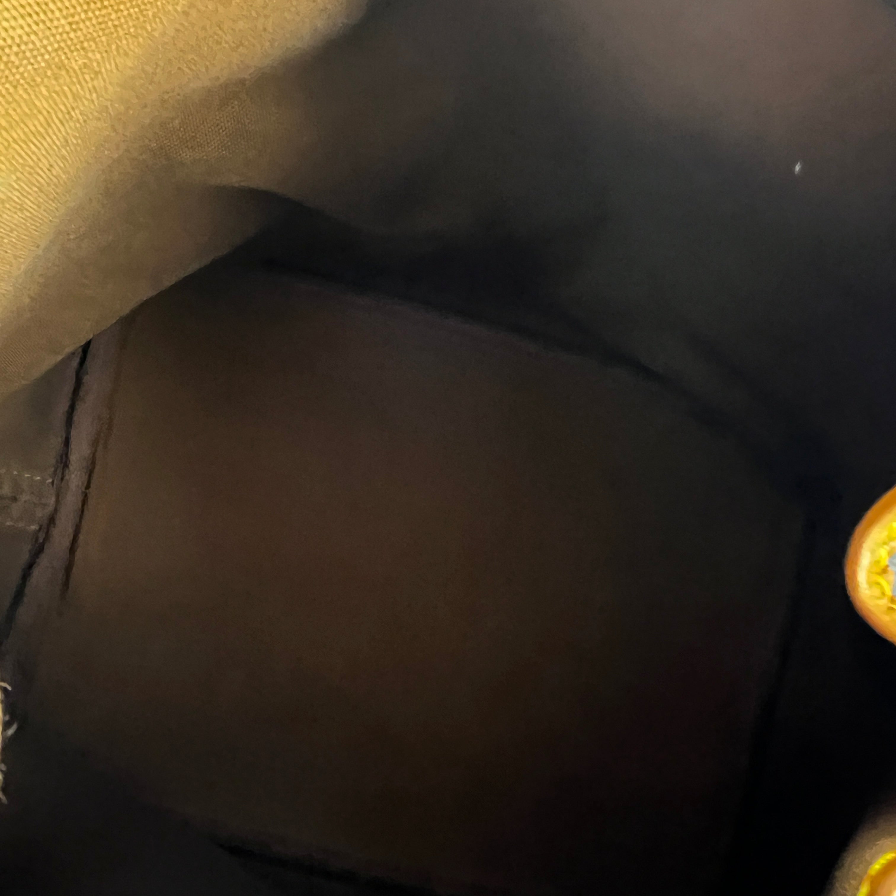 LOUIS VUITTON Noé PM bucket bag in brown canvas and leather