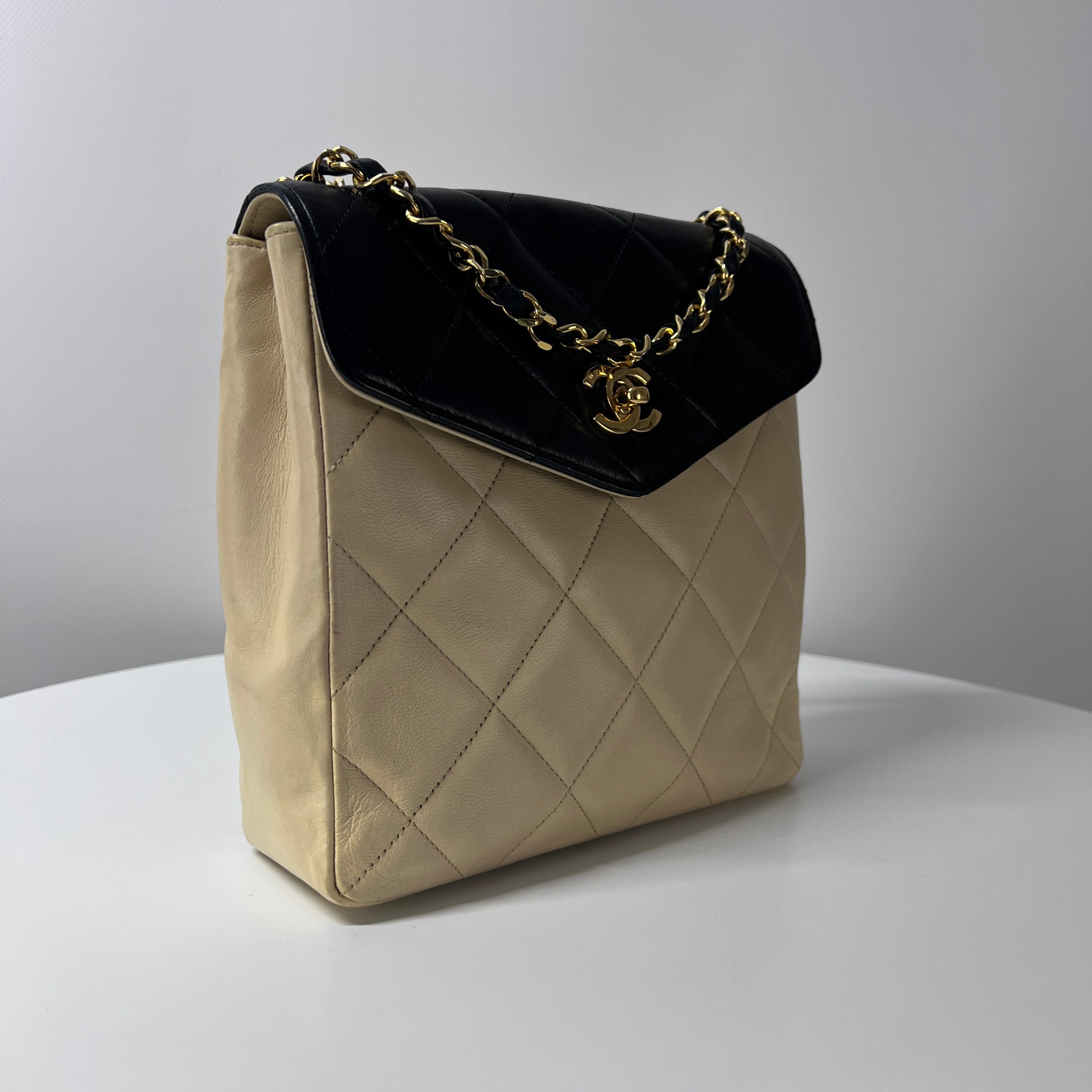 CHANEL Timeless two-tone handbag