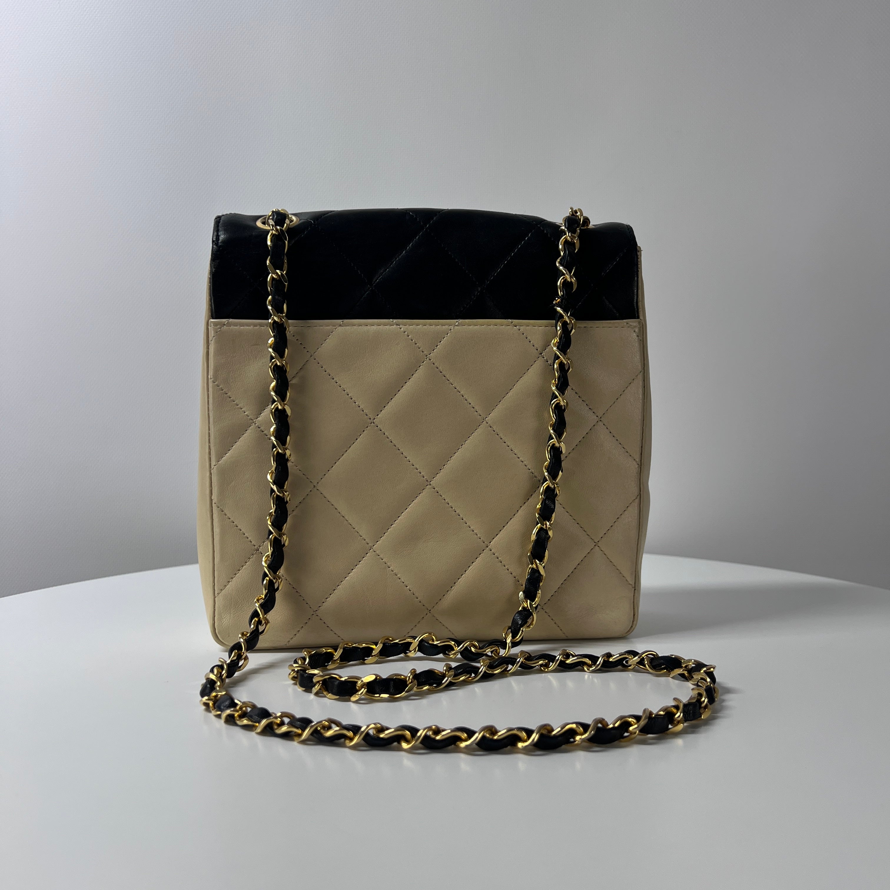 CHANEL Timeless two-tone handbag