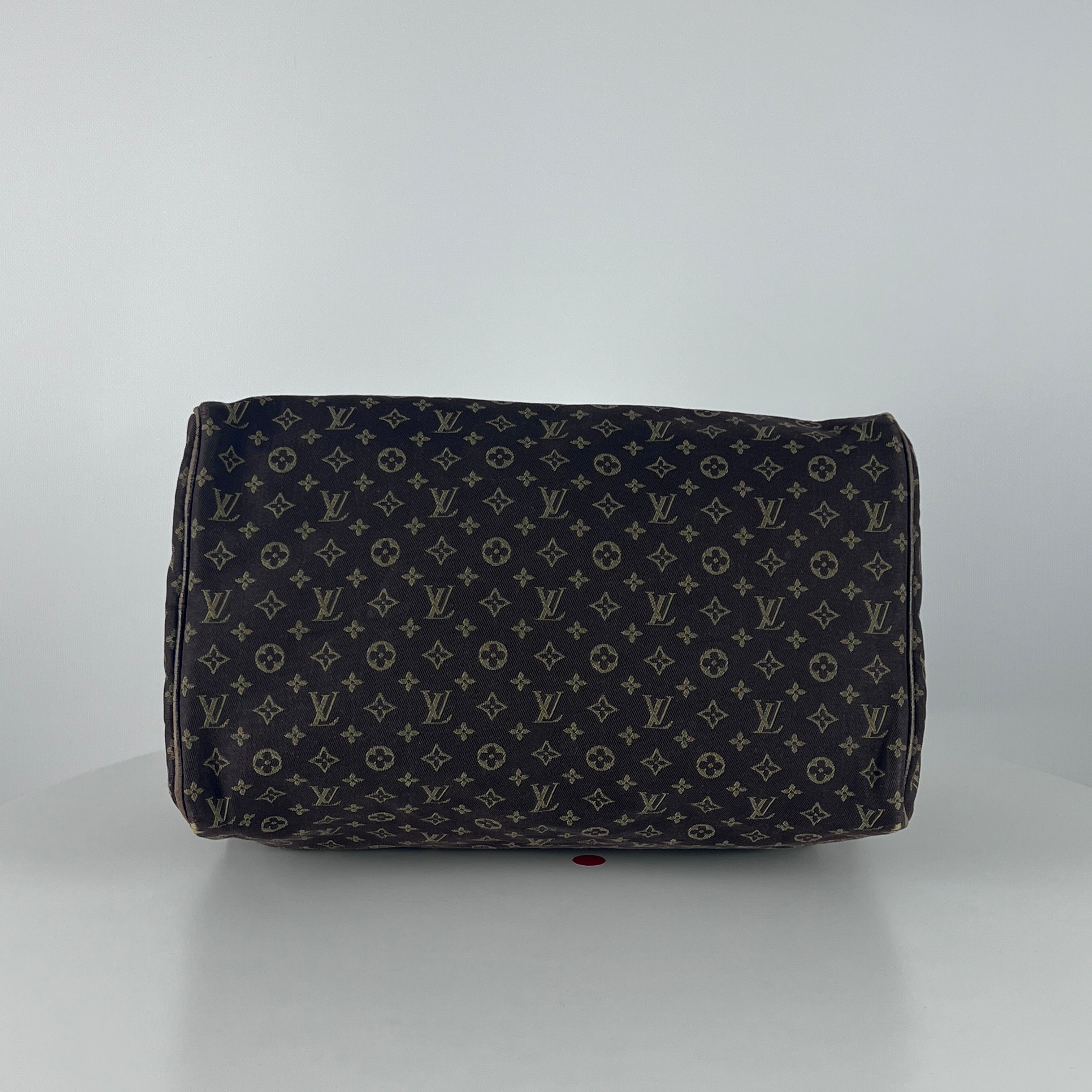 LOUIS VUITTON Speedy linen and brown leather handbag