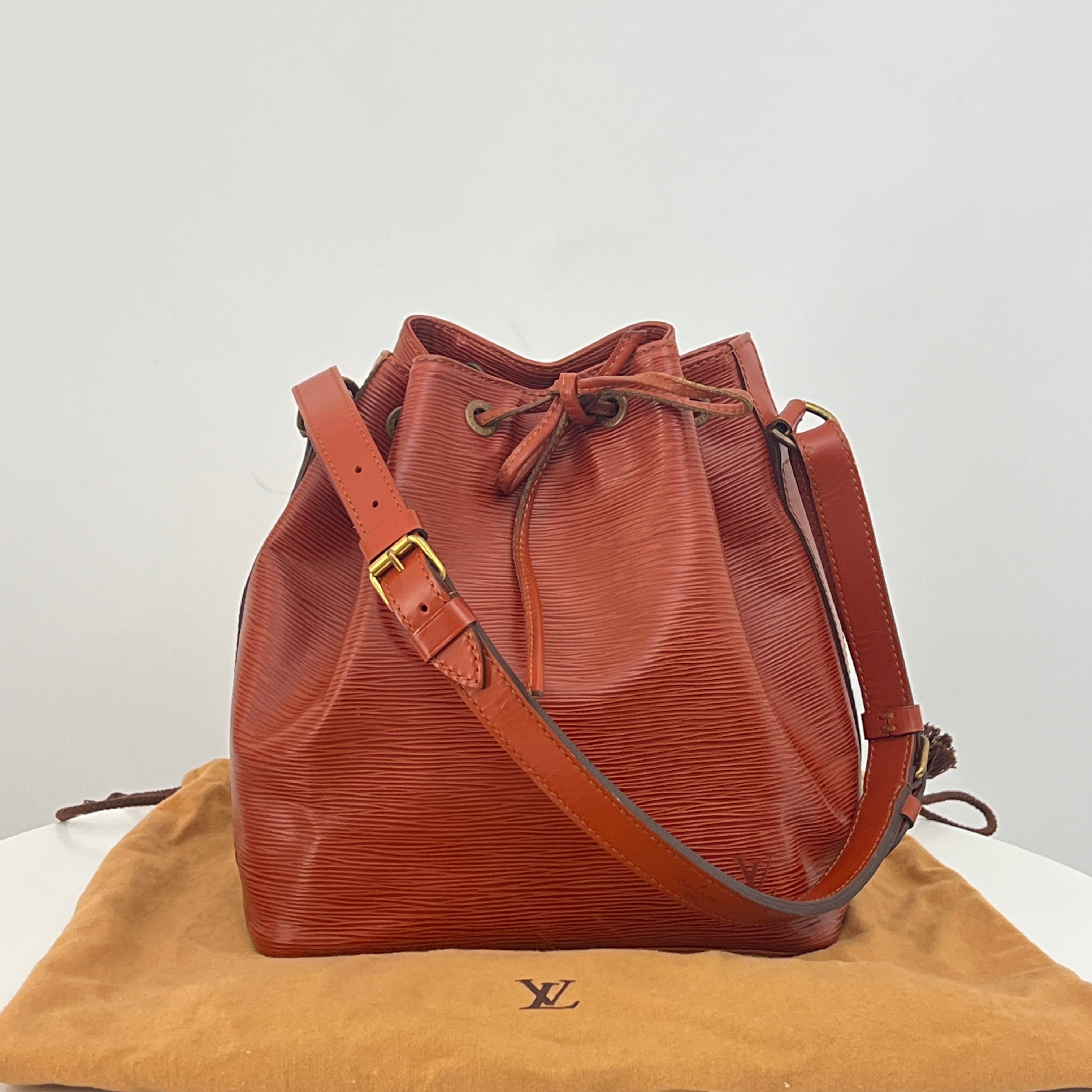 Sac LOUIS VUITTON Noé Petit cuir épi marron