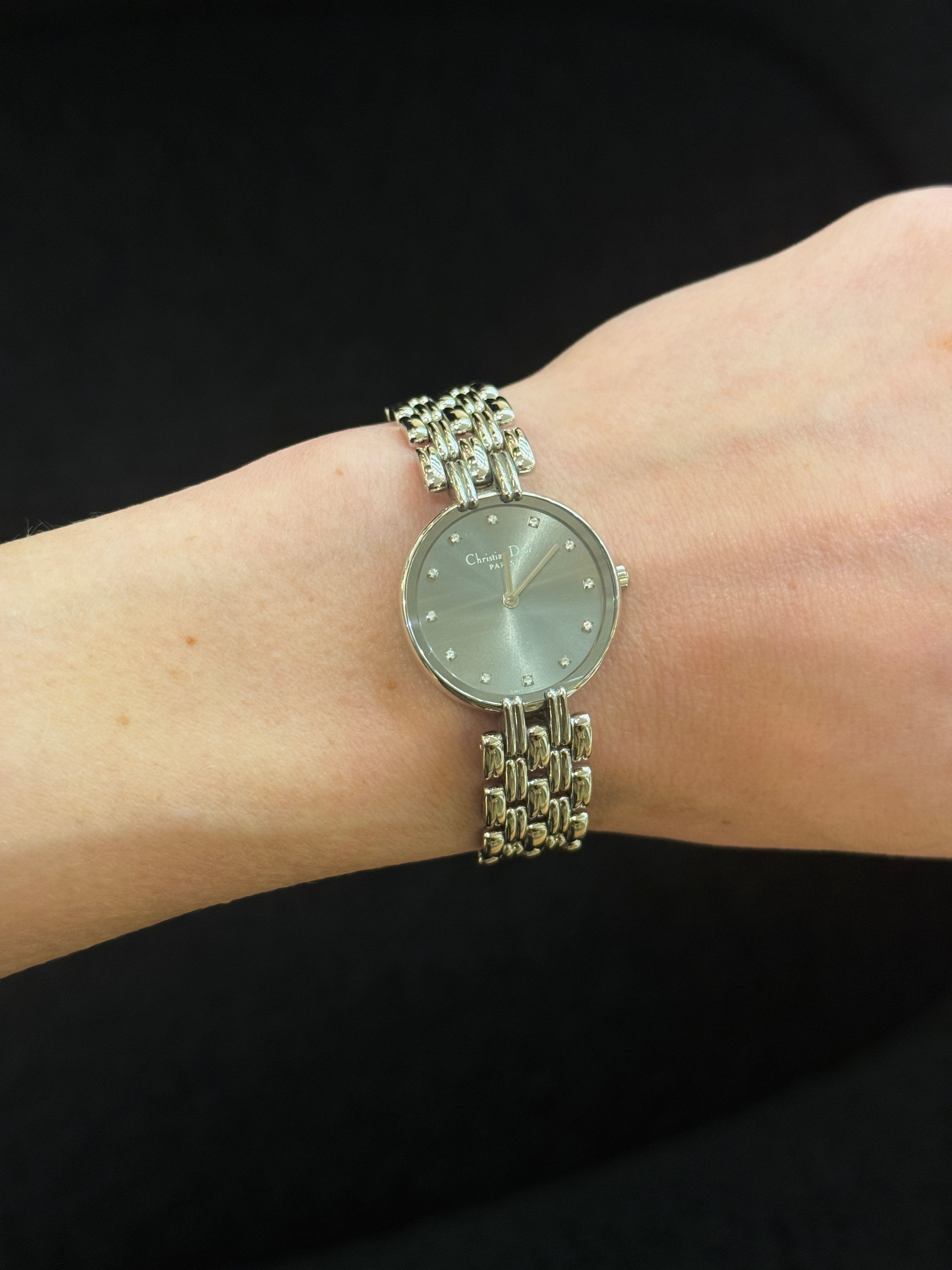DIOR Bagheera silver steel watch