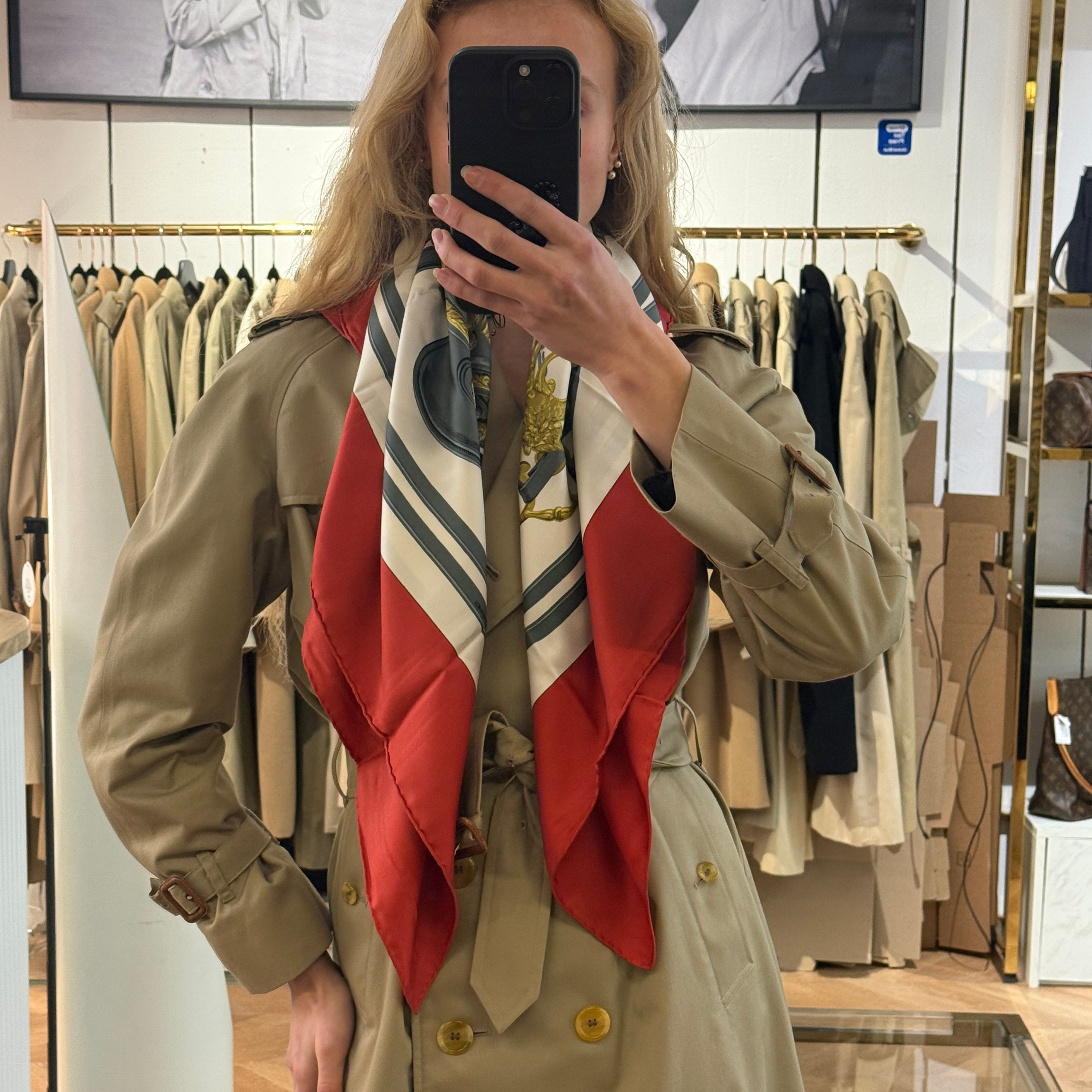 HERMÈS Brides de Gala Scarf