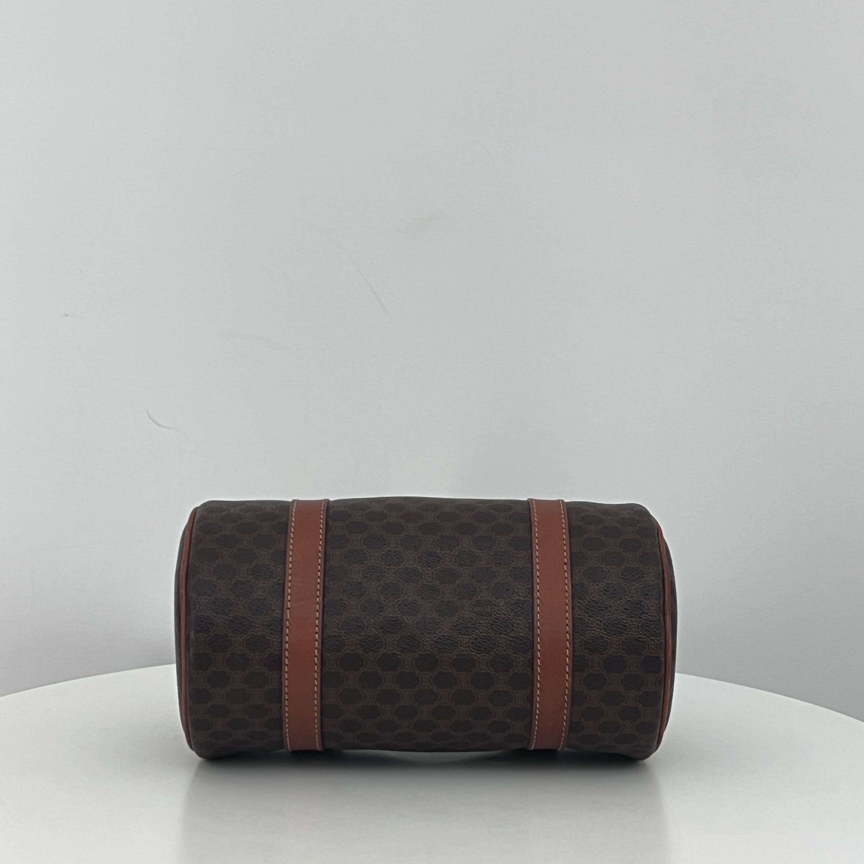 CELINE Papillon bag in brown canvas and leather