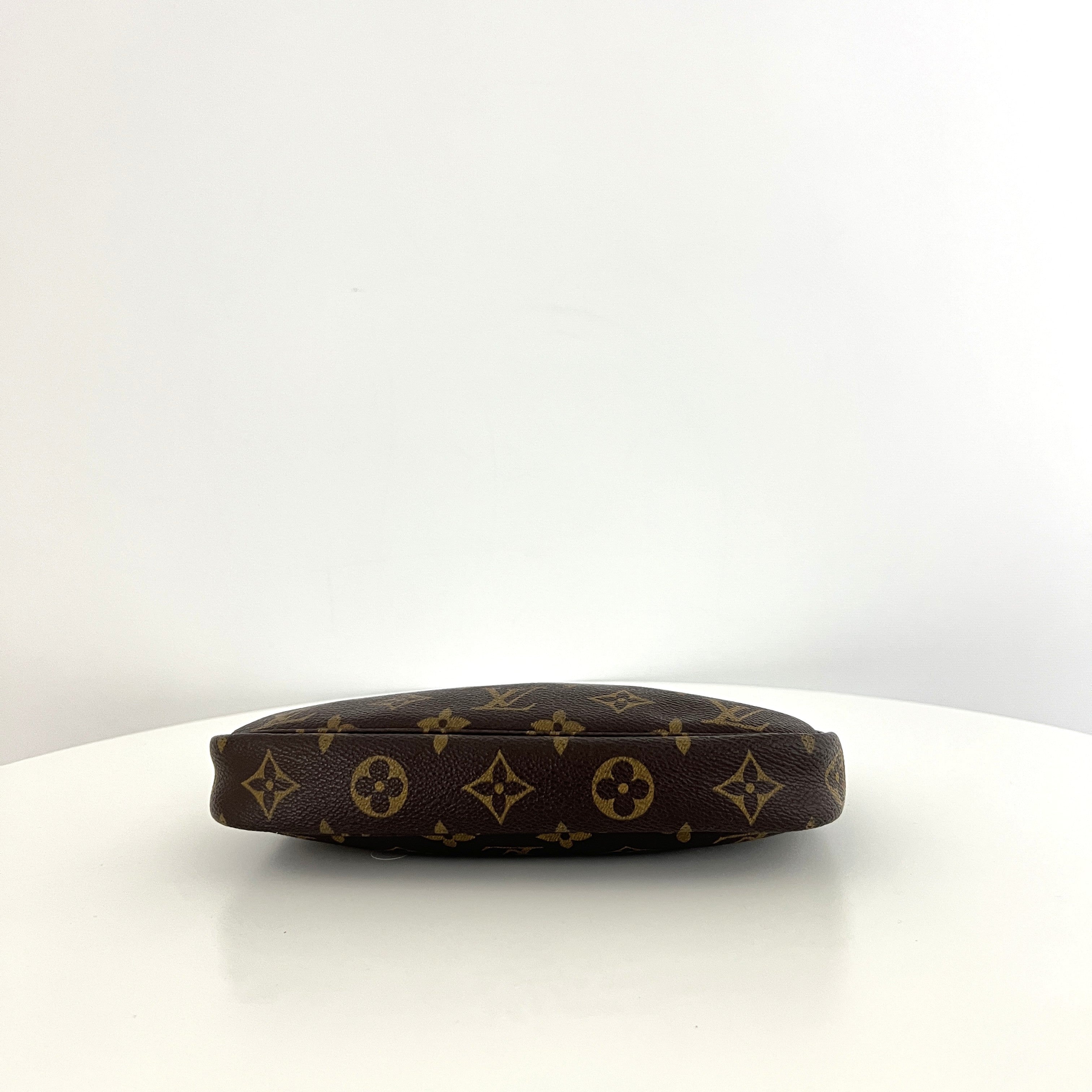 LOUIS VUITTON Pochette Accessoires handbag in brown canvas and leather