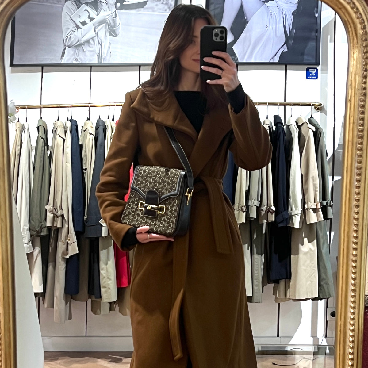 CELINE Triomphe C Carriage bag in canvas and brown leather
